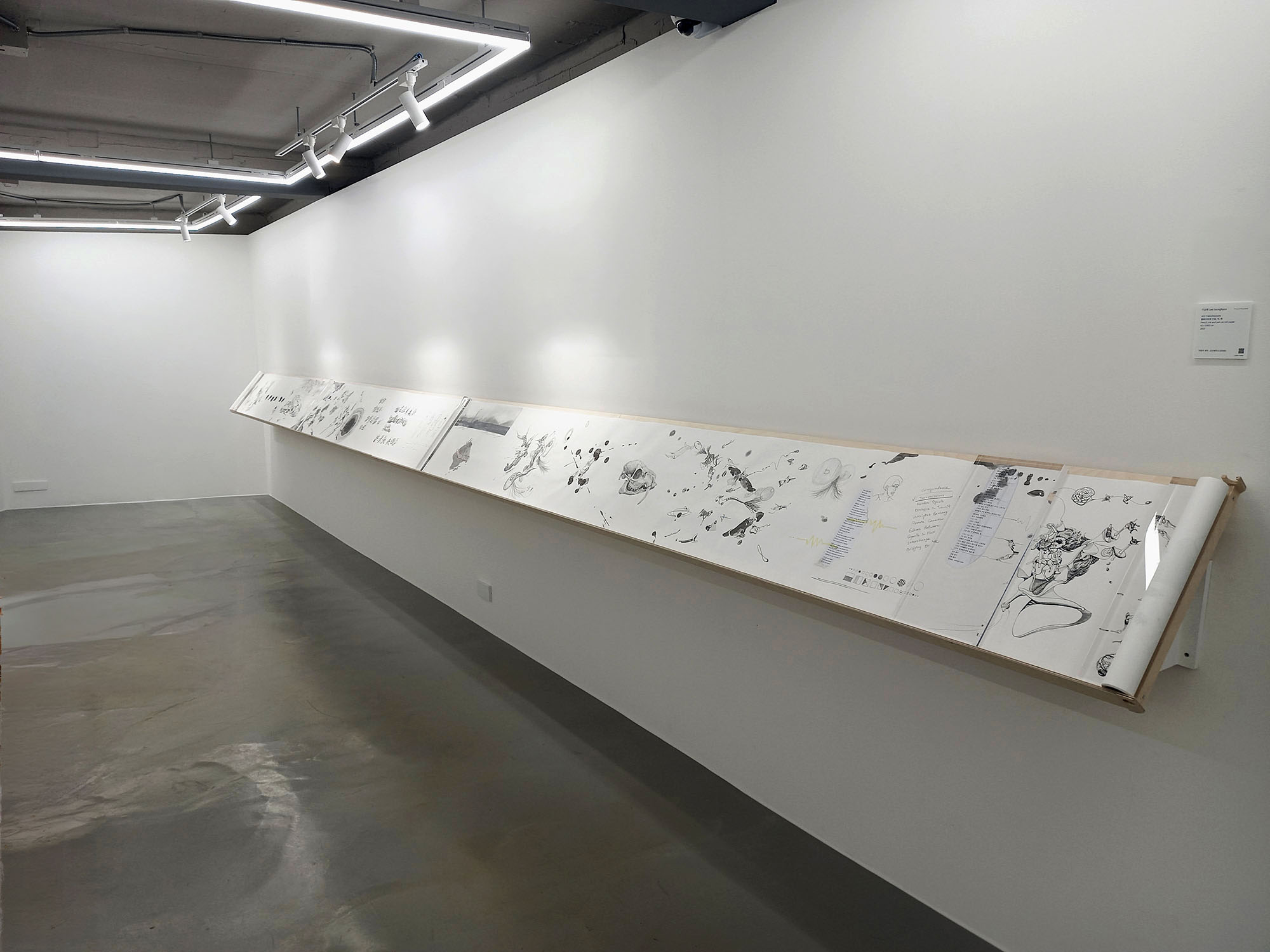 s Transmissions Installation view.jpg