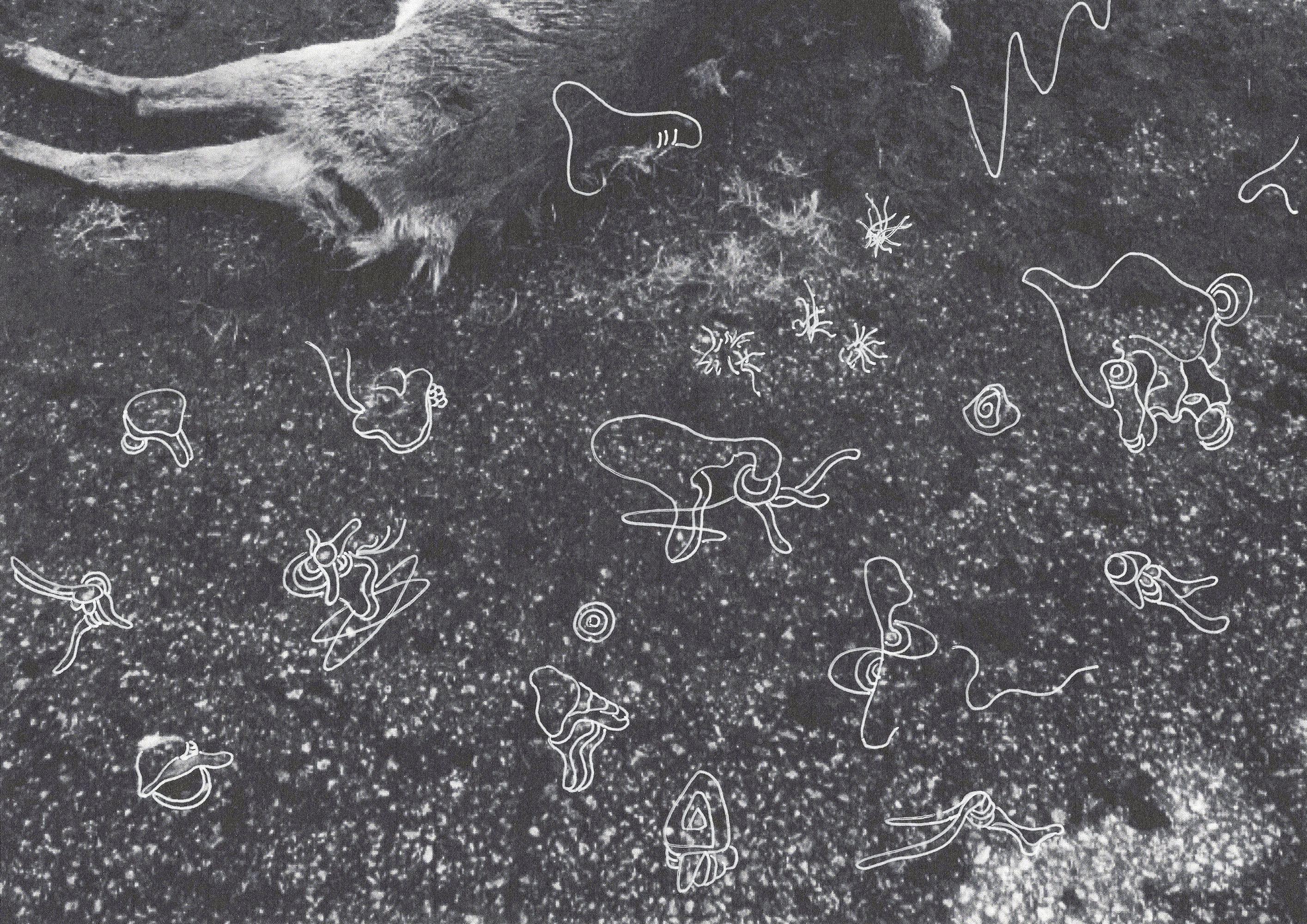 w20250625_01a (9).jpg